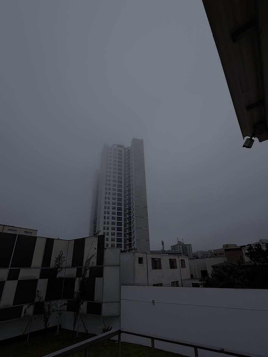 Muñoz Gian tweet media