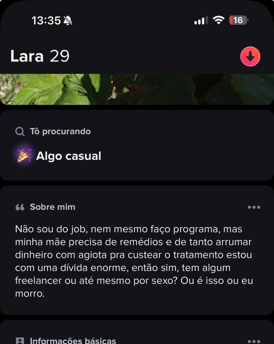 DEMOGracinha 🇧🇷 tweet media