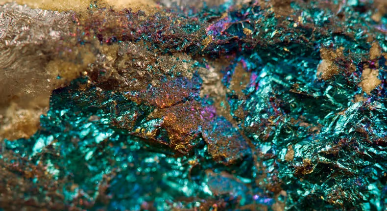 Business Insider Africa tweet media