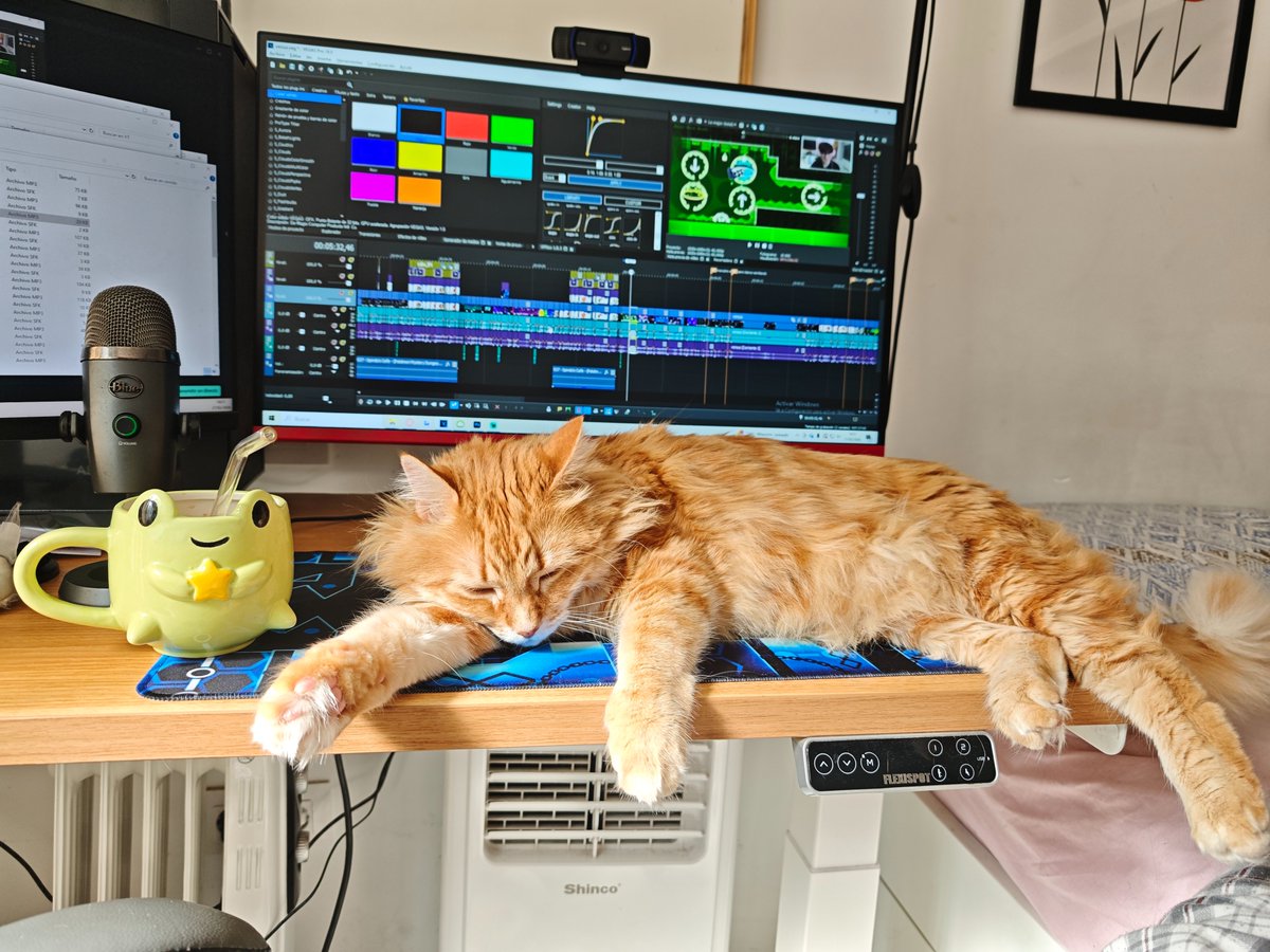 guillester tweet media