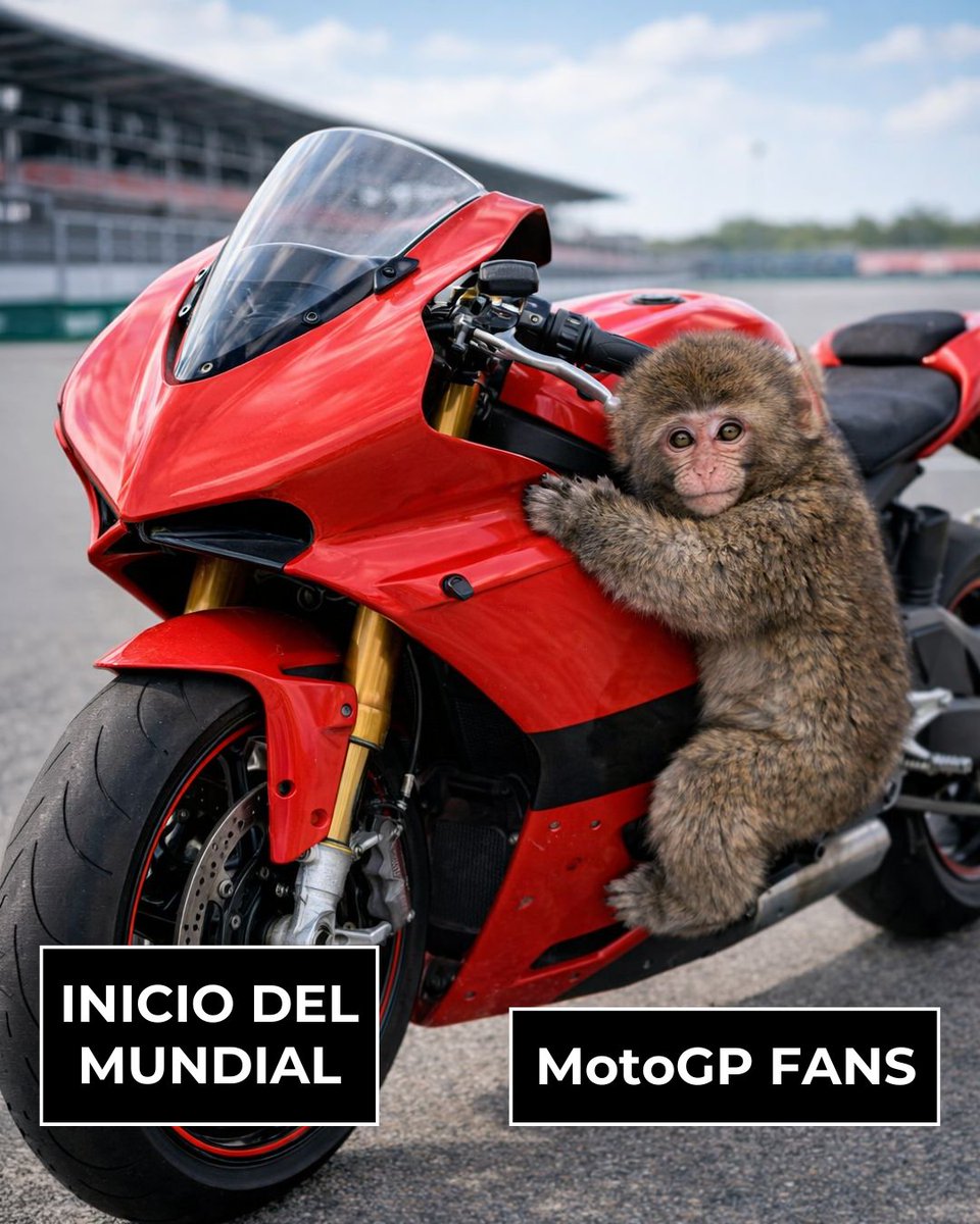 DAZNBetES's tweet photo. Todos somos un poco Punch con el regreso MotoGP 🤗 https://t.co/5KXoD5PRql