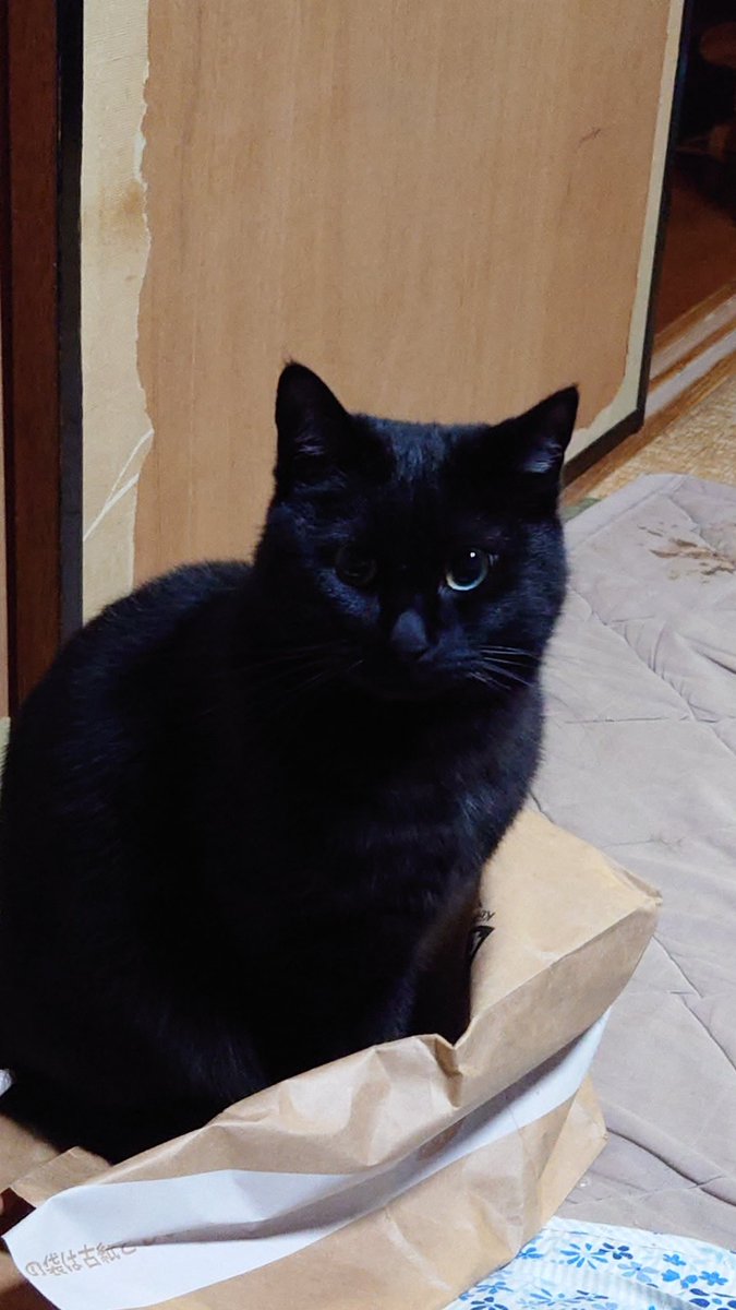 おだんご🍷 tweet media