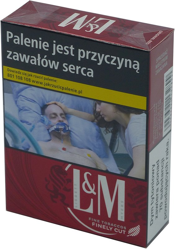 kamil🥸 tweet media