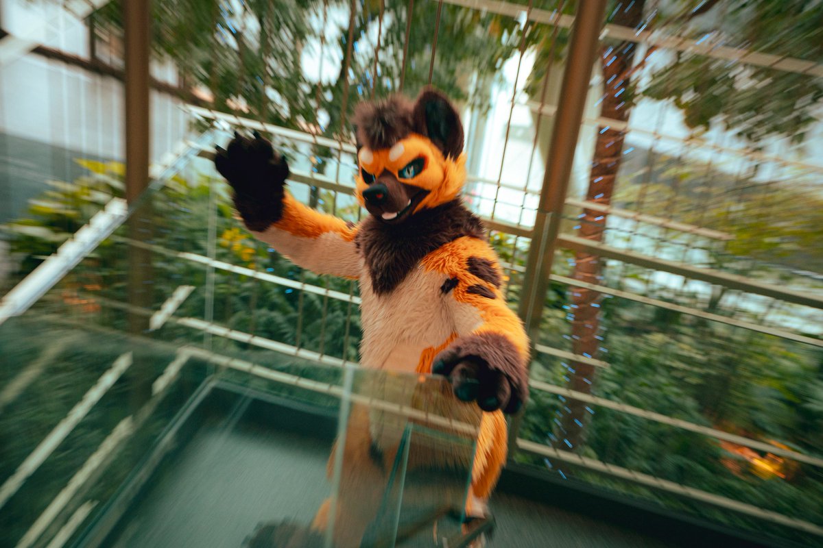 PLANT@TAIWAN tweet media