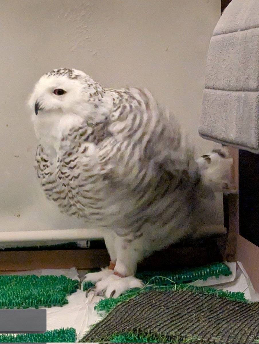 ムキムキ💪みたいなショット撮れた