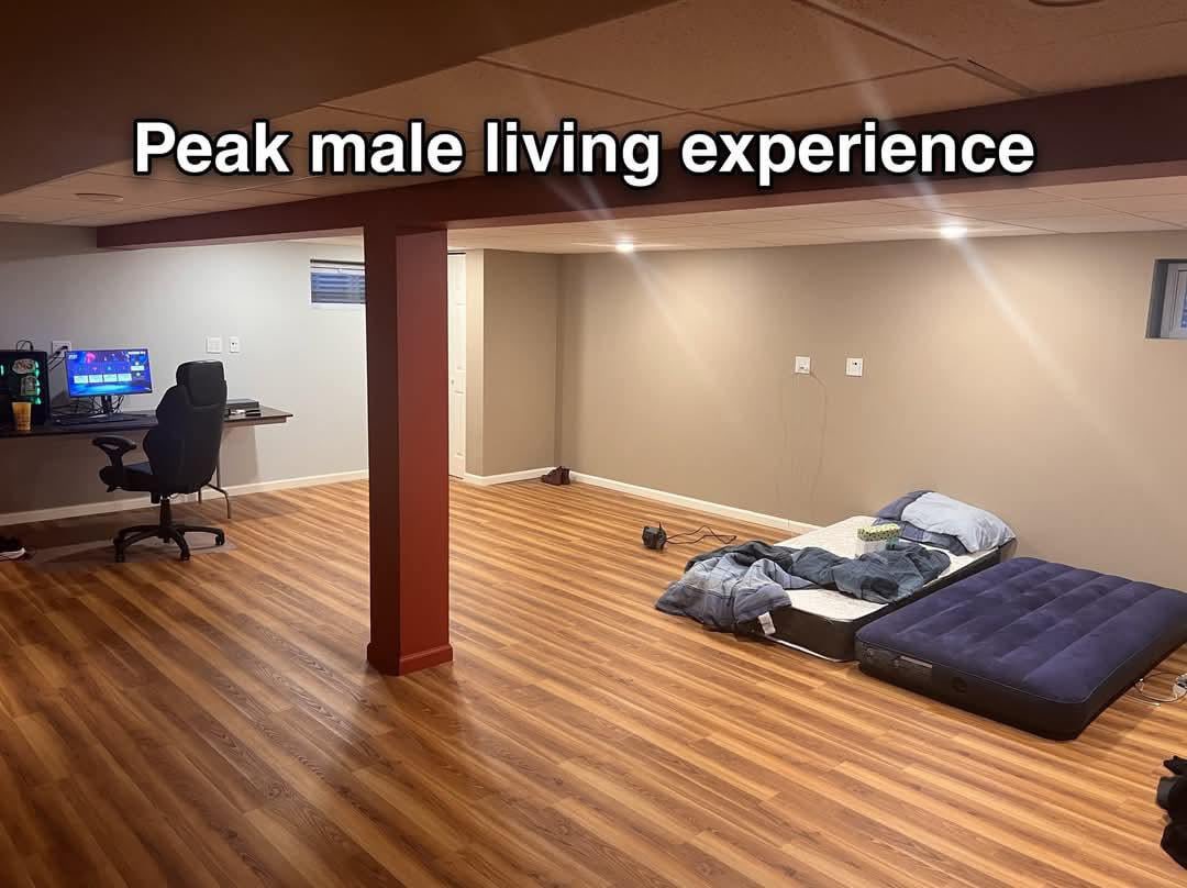 NO CONTEXT HUMANS (@humansnocontext) on Twitter photo 