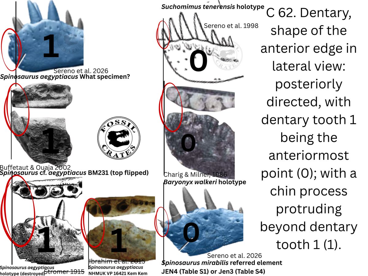 Fossil Crates 🦖🦕 tweet media
