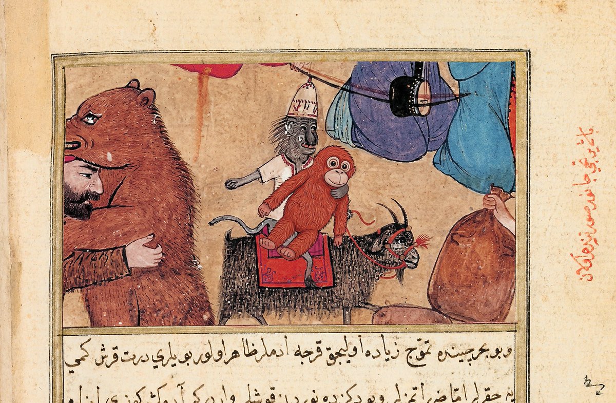 Emre Taş tweet media