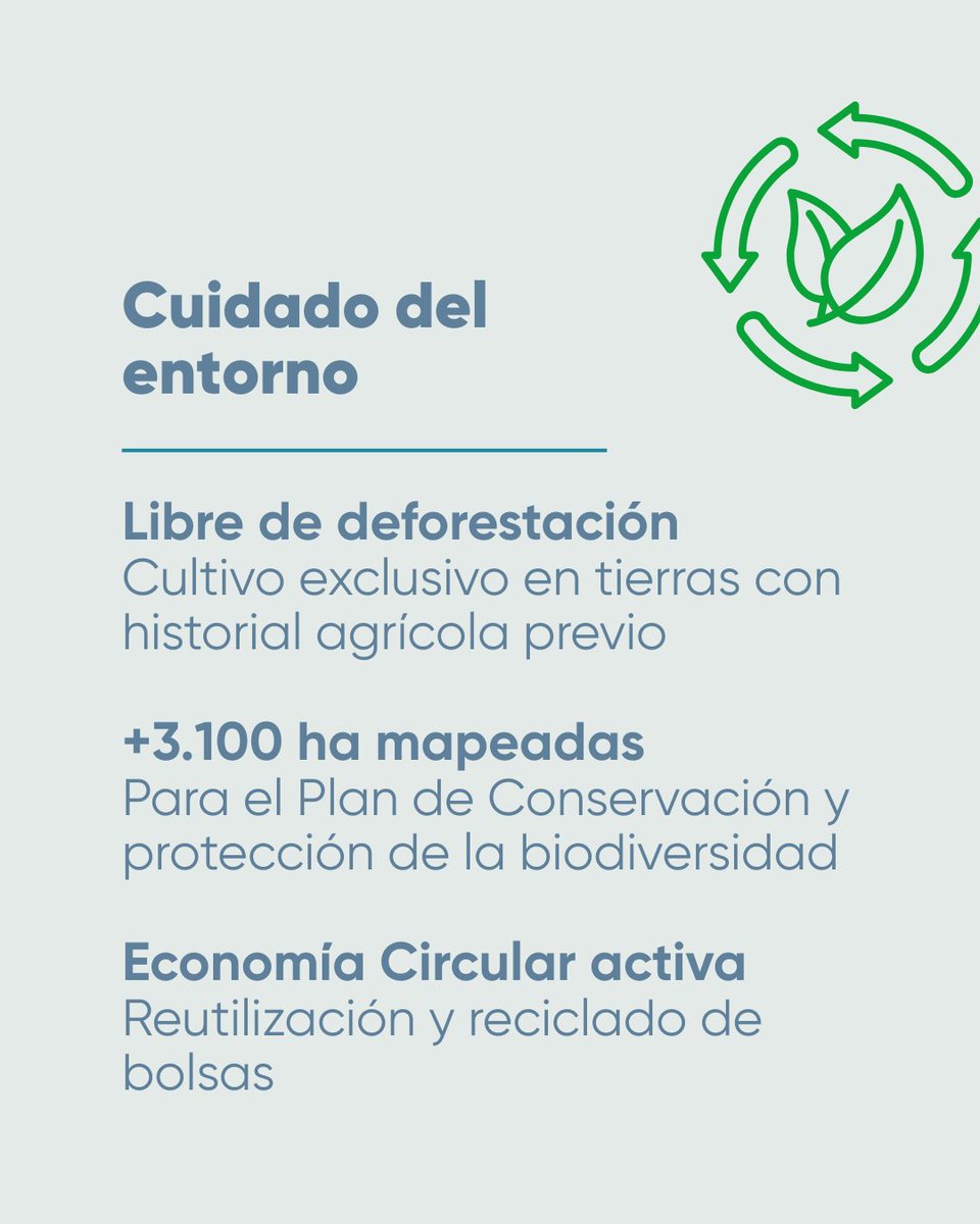 GensusArg's tweet photo. ♻️ La sustentabilidad se construye con decisiones medibles, procesos concretos y compromisos sostenidos en el tiempo.

🌱 Te invitamos a conocer el reporte completo y profundizar en cada uno de estos hitos.

👉 Disponible en https://t.co/803yutZGL5 https://t.co/tcXkOPiodw
