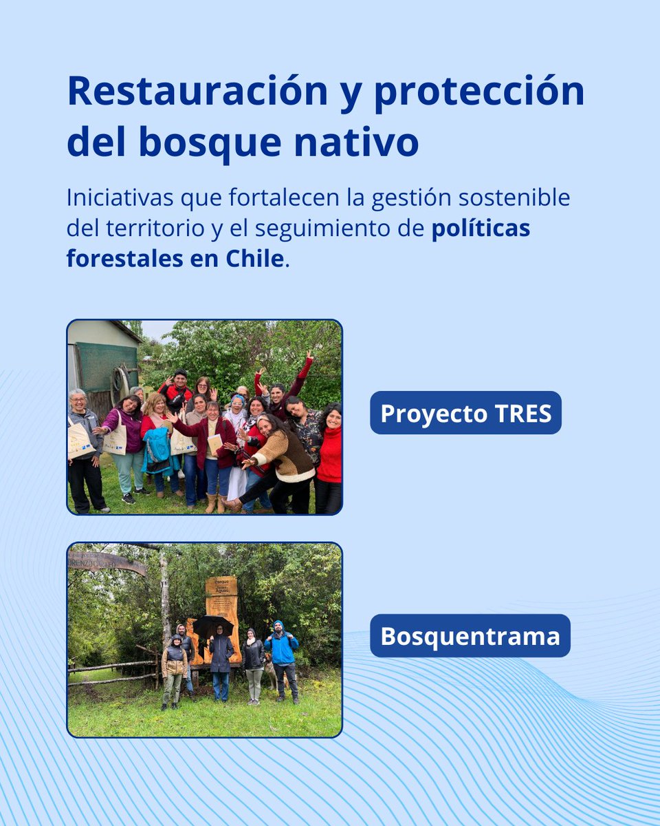 UE en Chile 🇪🇺 tweet media