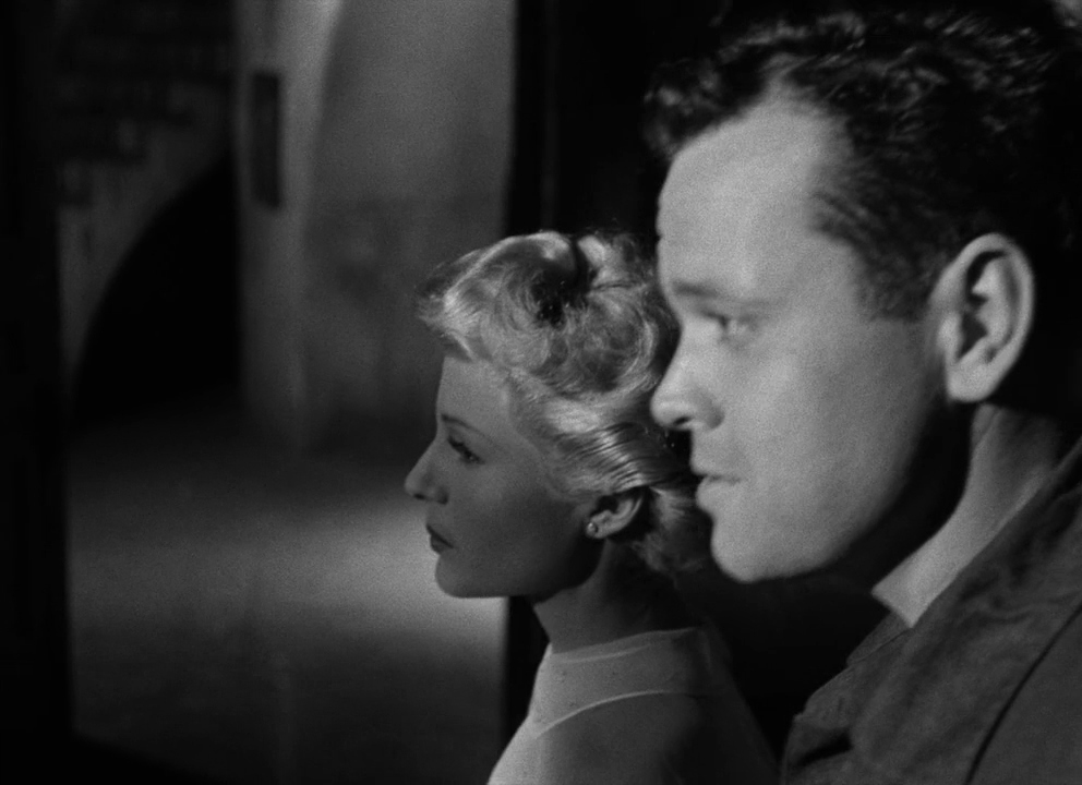 Splendor Films tweet media