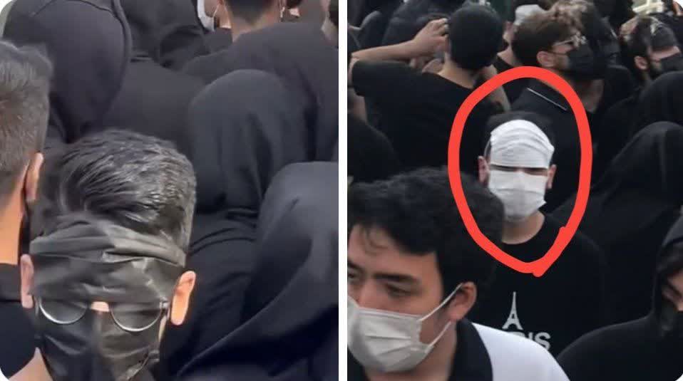 شما فکر میکنید اینا ترسیدن؟!
نههههه، دارن تست میکنن از تو گونی چجوری میتونن نگاه کنند 
#وحوش_پهلوی
#سیرک_پهلوی