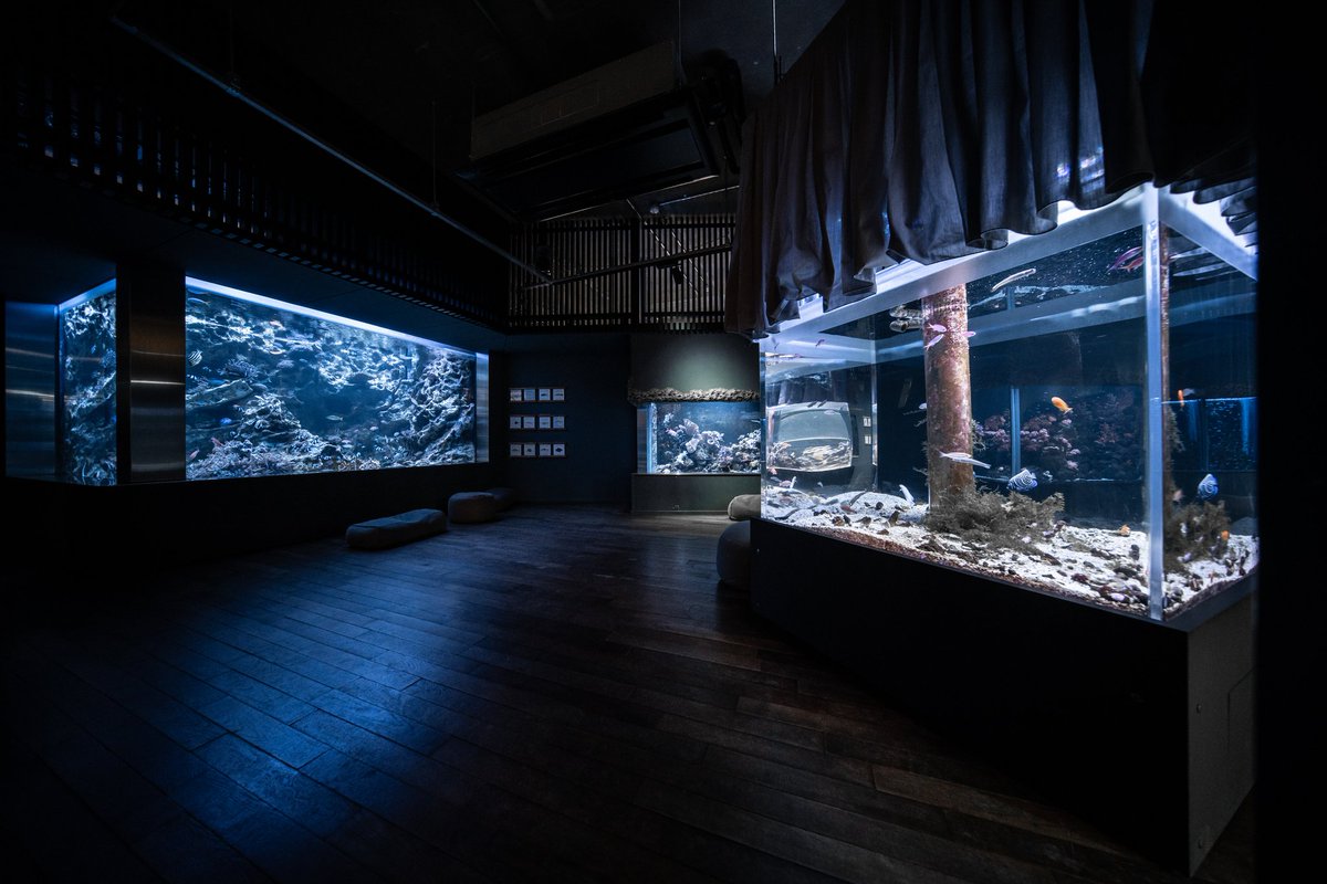 廃校をリノベして作られたという、みなとやま水族館に行ってきた。