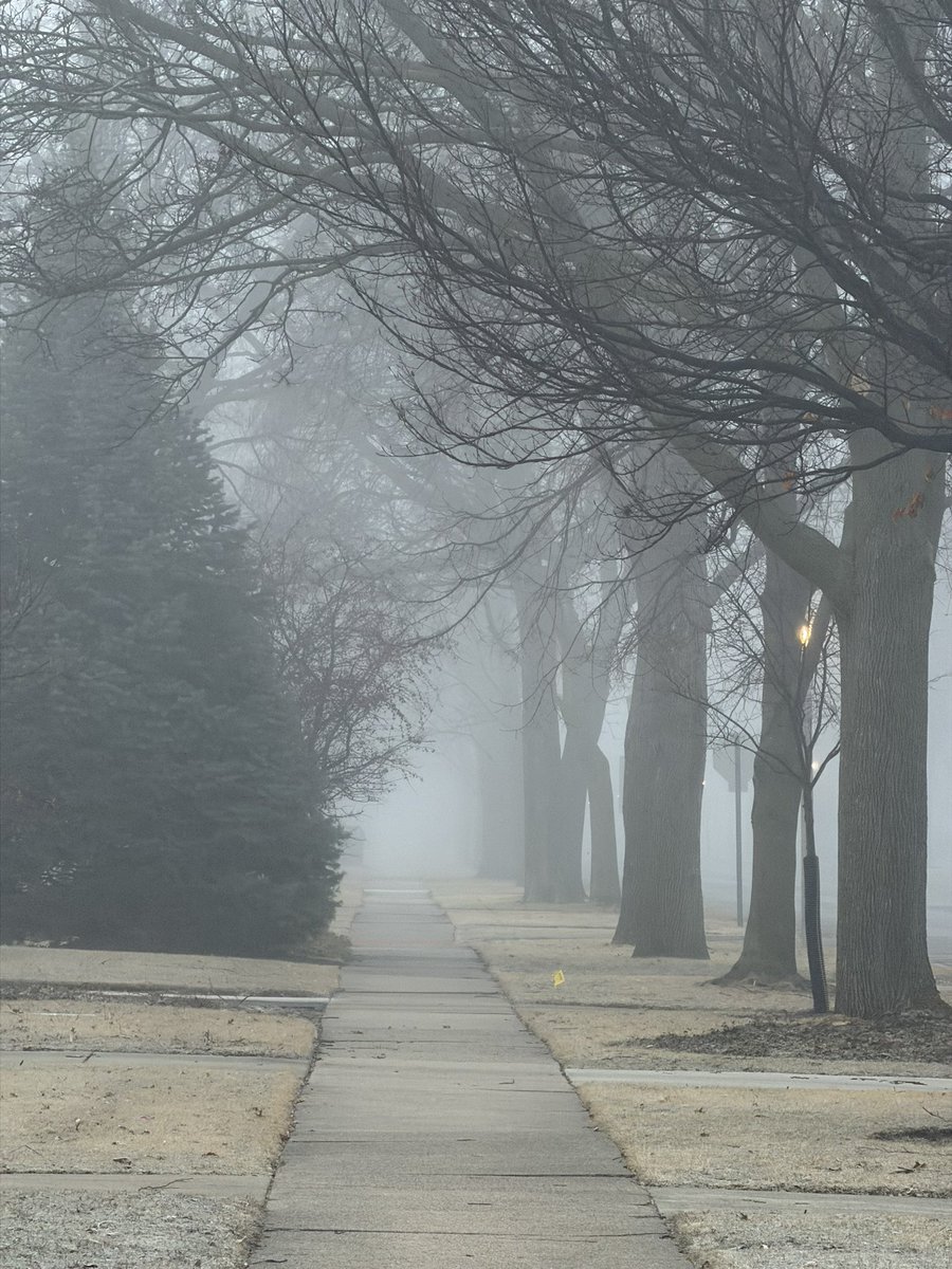 KaniVT's tweet photo. What in the silent hill is going on this morning. Do I still have to go to work? https://t.co/oxnUADSiq3