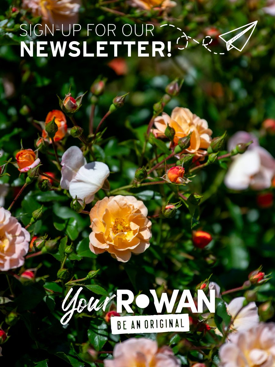 Your Rowan tweet media