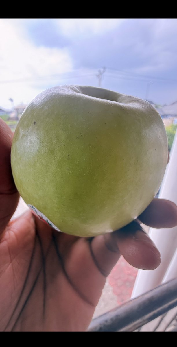 SPACEMAN 💯 tweet media