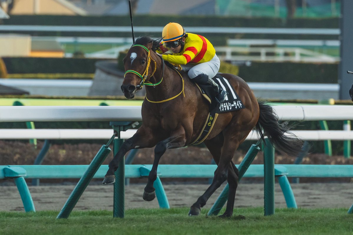 今週の出走馬

日曜日

阪神4R 3歳1勝クラス
ダンツシタン
団野　大成騎手

中山8R4歳上1勝クラス
ラブリーガール
横山　和生騎手

中山10RアクアマリンS
イサチルシーサイド
木幡　初也騎手

今週は、楽しみな3頭が出走予定です。好レースを期待したいです。