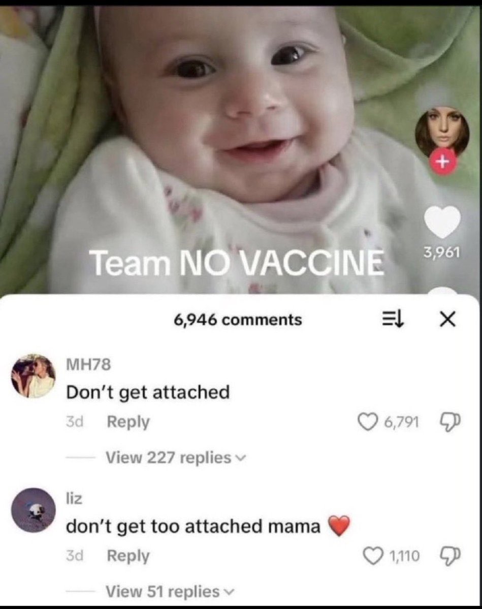 Making friends on shedtwt