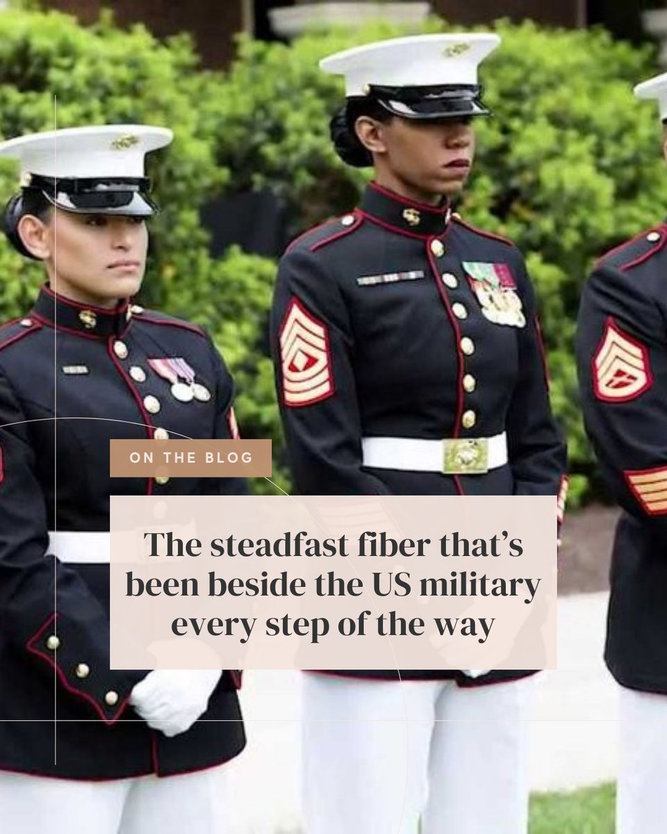 Experience Wool tweet media