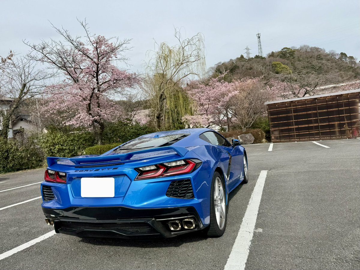 RapidsGrayEyes's tweet photo. 富士と桜

#corvette
#C8
#コルベット
#富士山 https://t.co/e439JkreWN