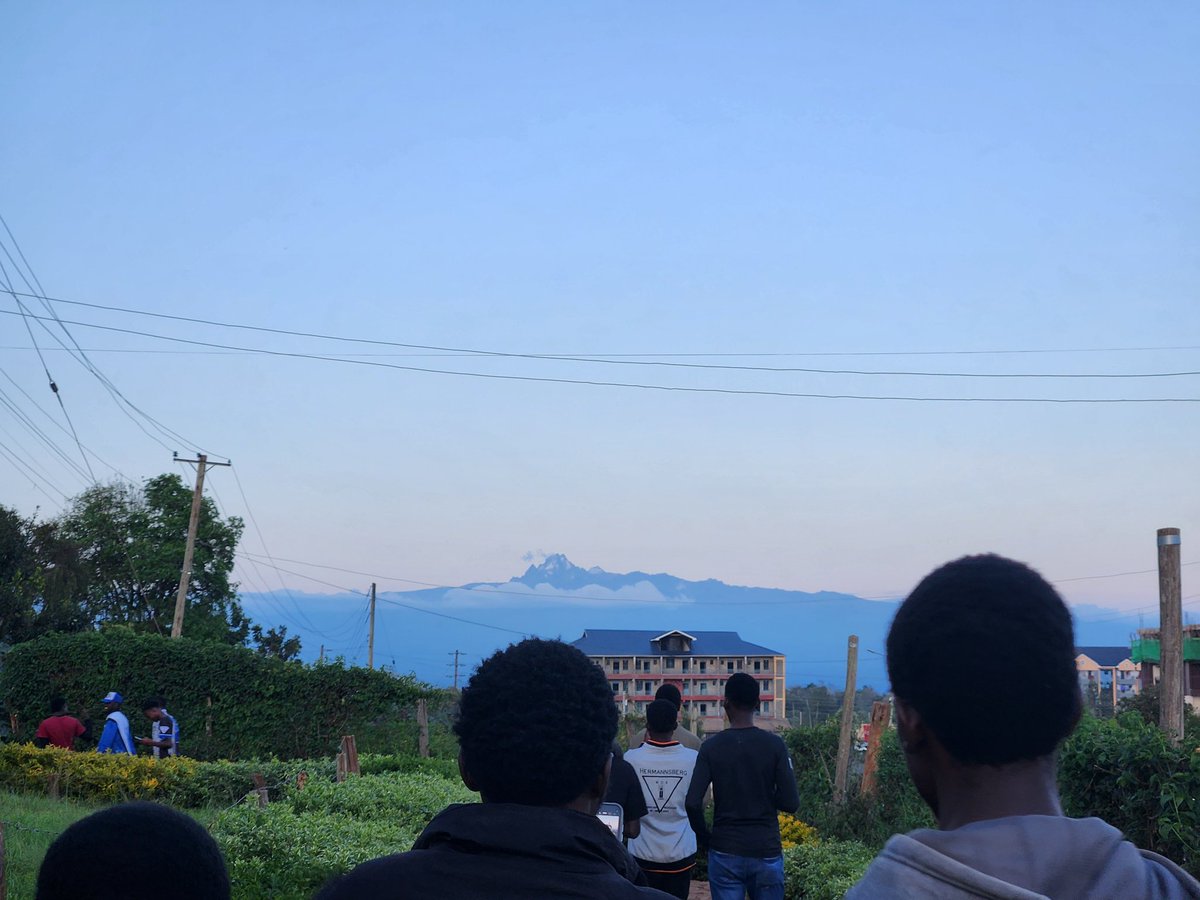 WhiteWalker tweet media