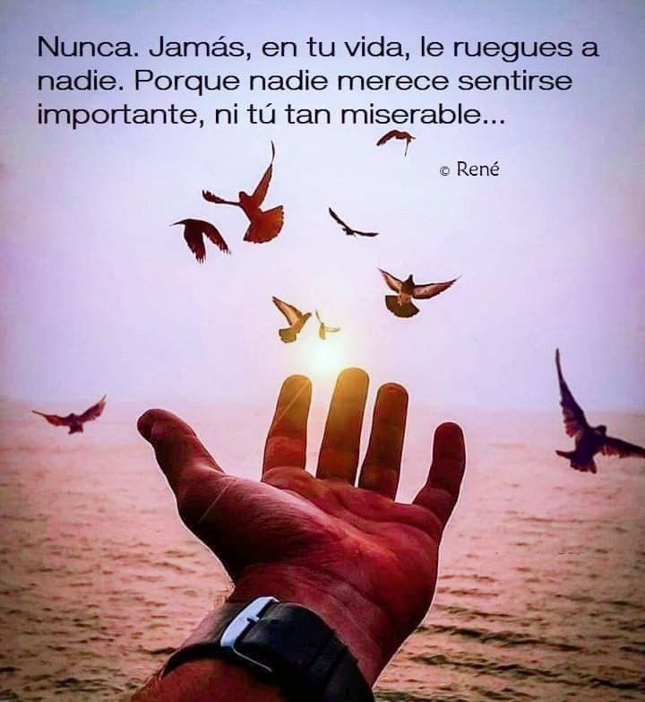 👇 👇 👇 👇 👇