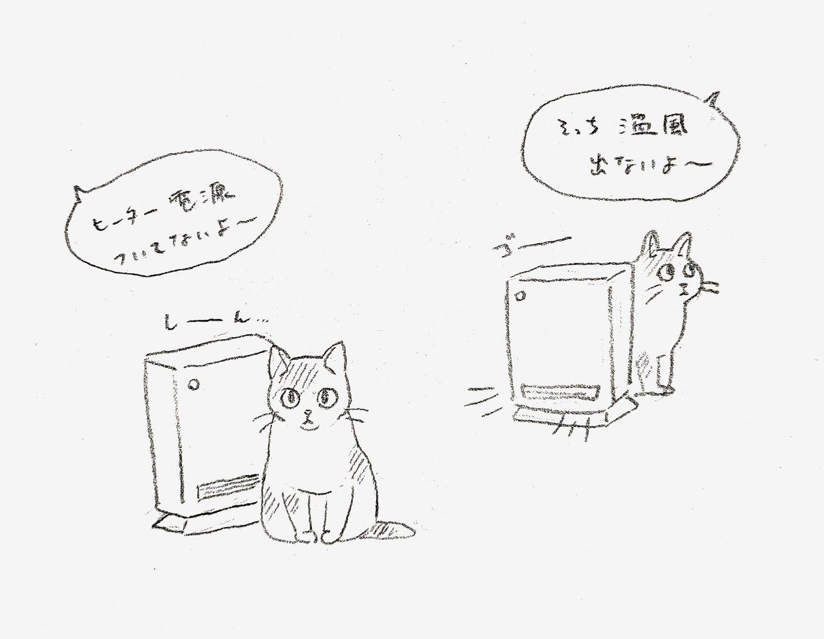 今日のねこ2号 