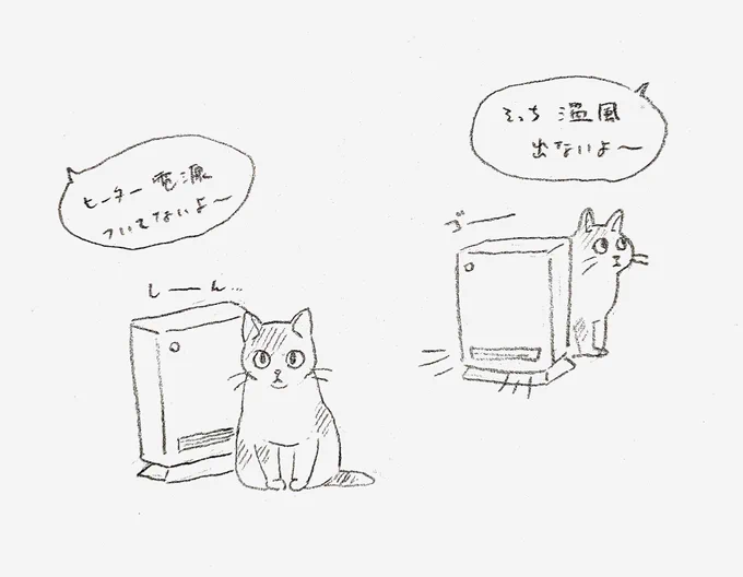 今日のねこ2号 