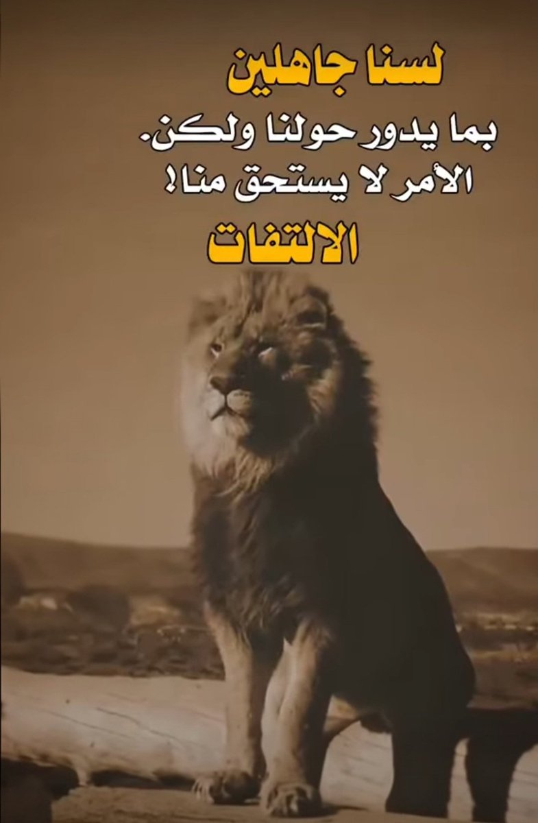 almhtar25's tweet photo. https://t.co/c0eNu21Mu1