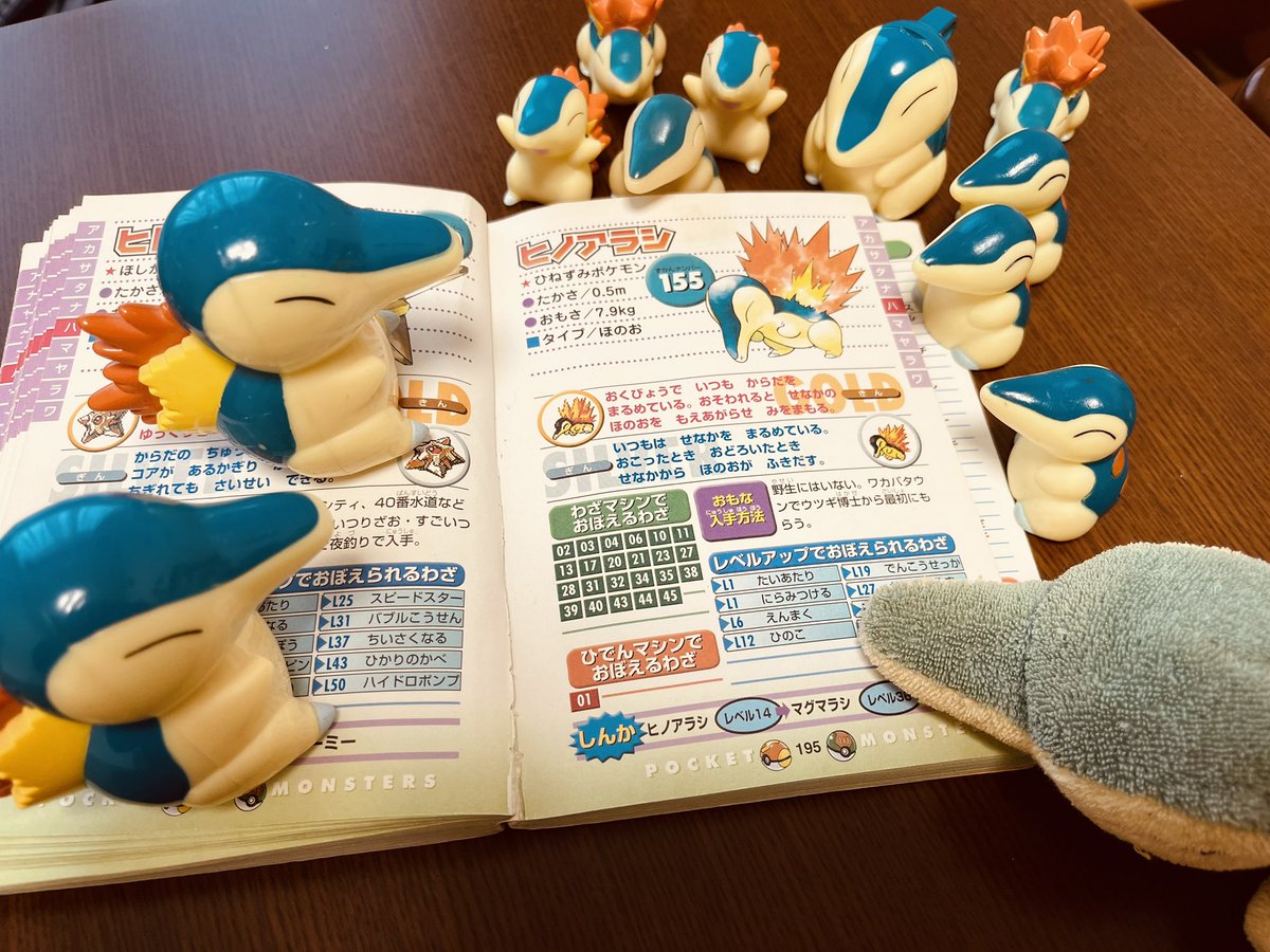 本物のヒノアラシ (@real_cyndaquil_) on X