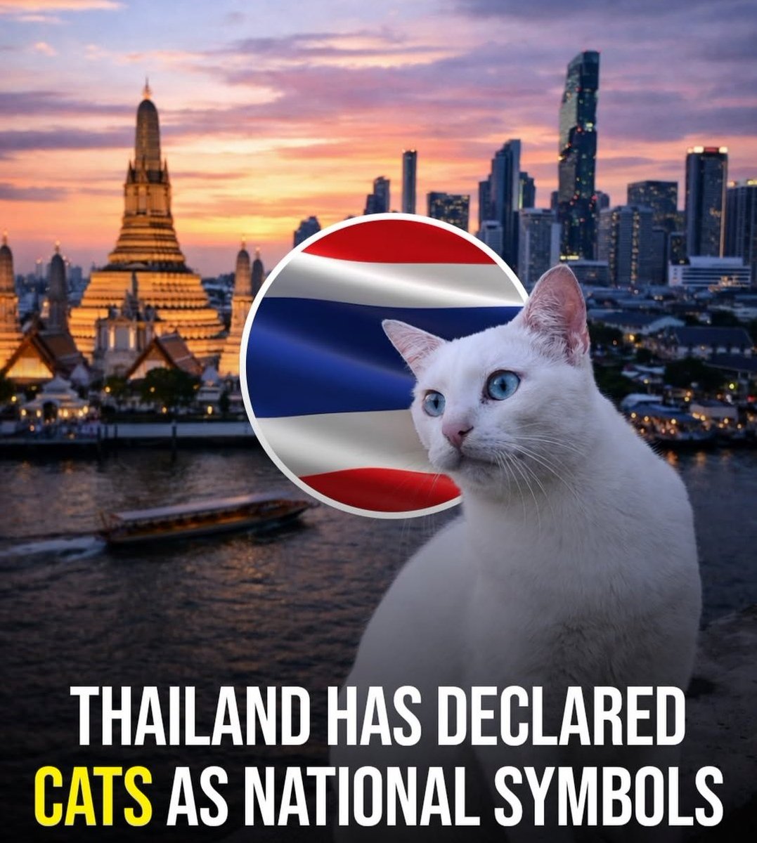 ℰ𝓁𝒶 ☀️✈️ (@flyela__) on Twitter photo 