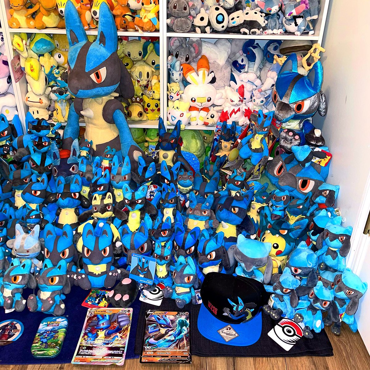 🩷💜PlushLucario💜🩷 tweet media