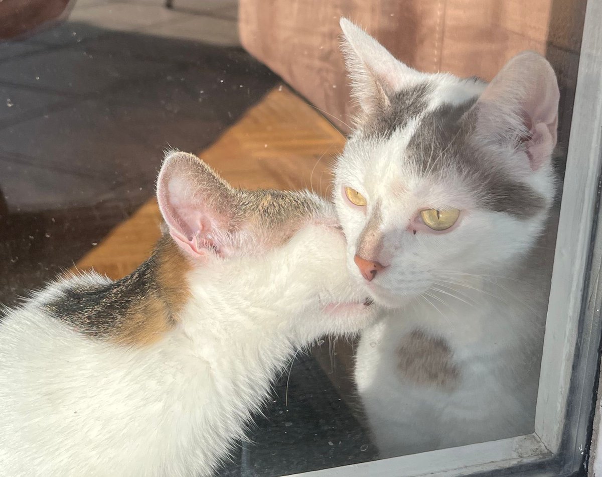 V0IGHT | Lea tweet media