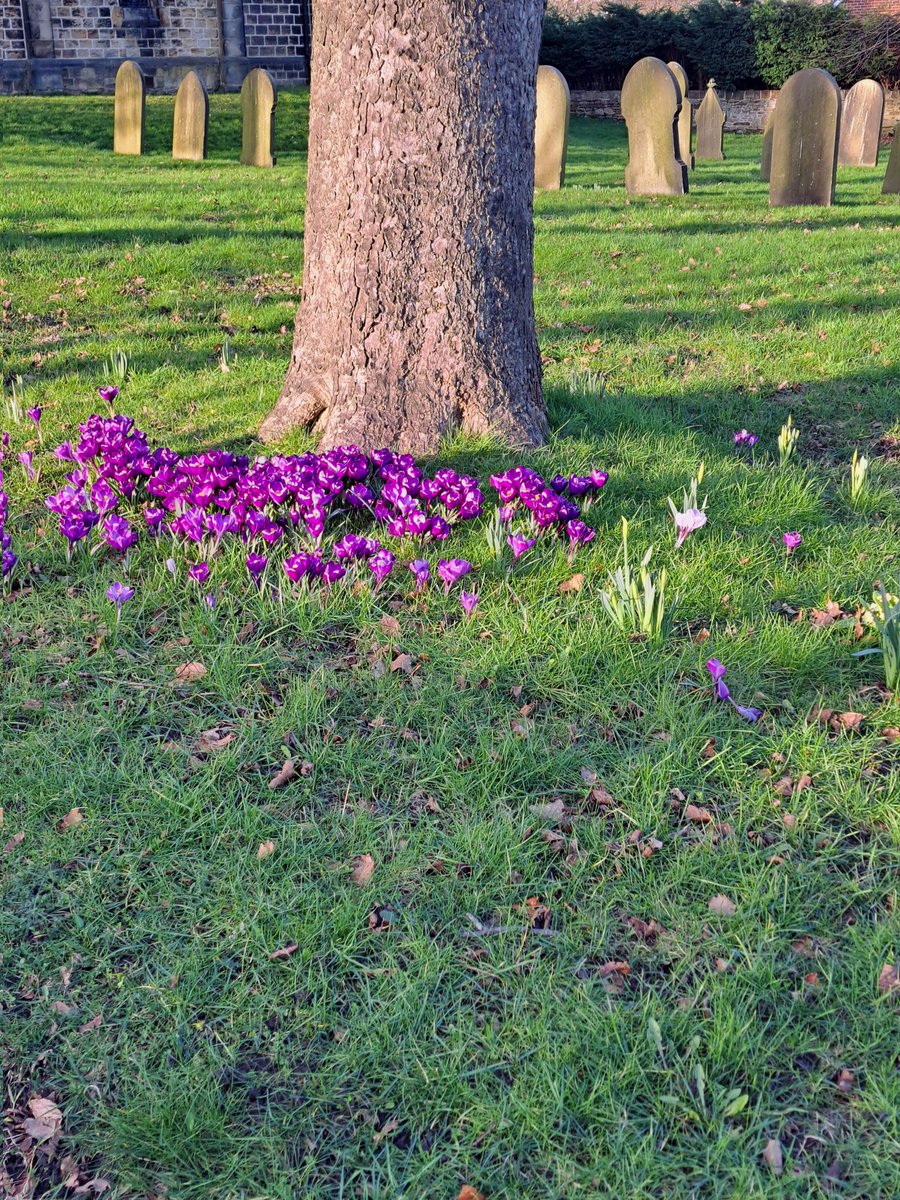 Gemma Walker tweet media