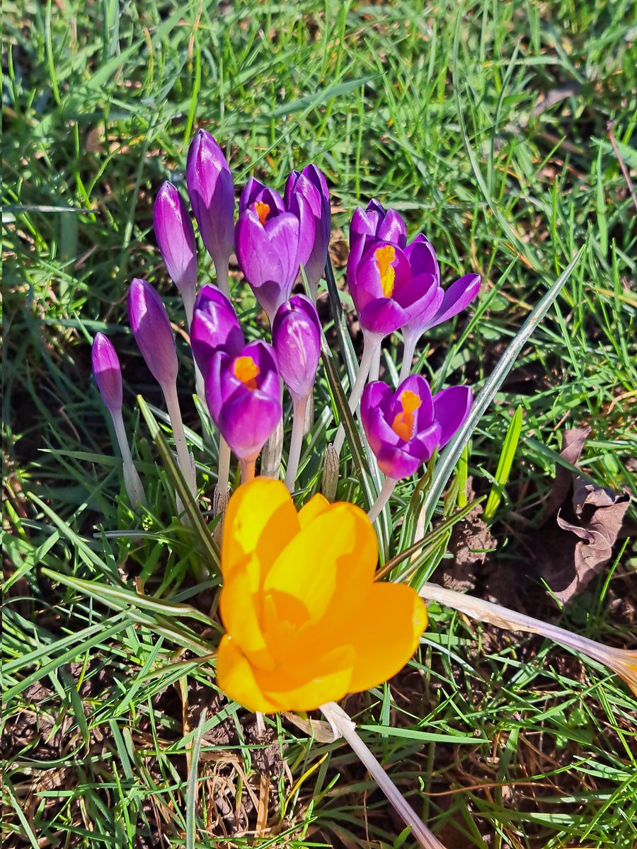 Gemma Walker tweet media