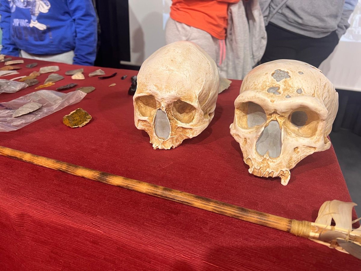 Manuel Alcaraz-Castaño tweet media