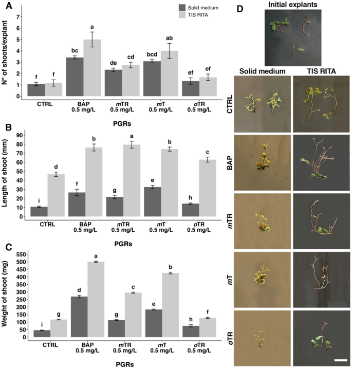 Plant Cell, Tissue and Organ Culture tweet media
