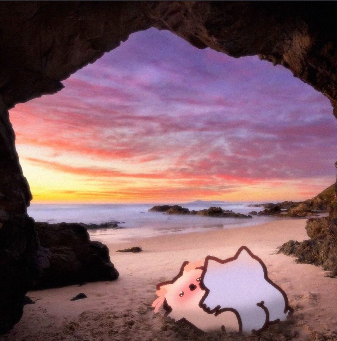 FarmworldBilly's tweet photo. gmeow happy Friday 🙂‍↔️ https://t.co/3Nz65jA3BB