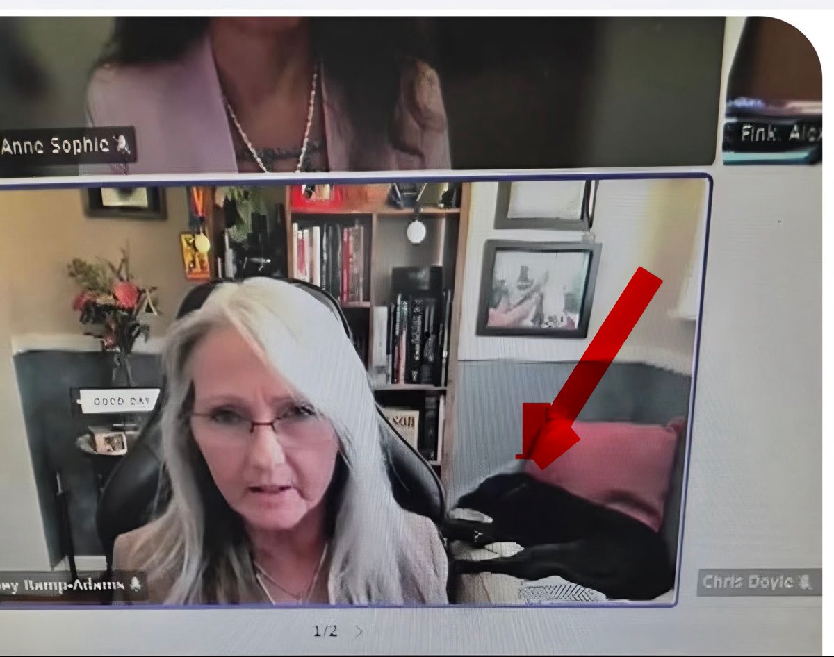 Sampson the Service Dog tweet media