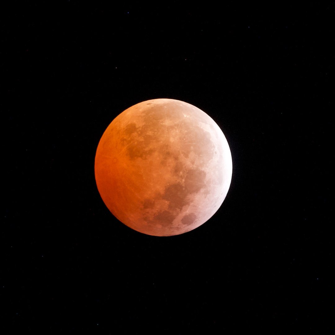Une éclipse lunaire totale sera visible au Canada tôt le matin du 3 mars. 🌕

Pendant la totalité, la Lune a souvent une teinte rouge. Aucun télescope nécessaire : sortez simplement dehors, levez les yeux et espérons un ciel dégagé.

📷: Lindsay Yeoman
