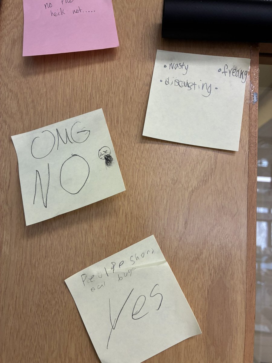 Ms. Dancisin tweet media