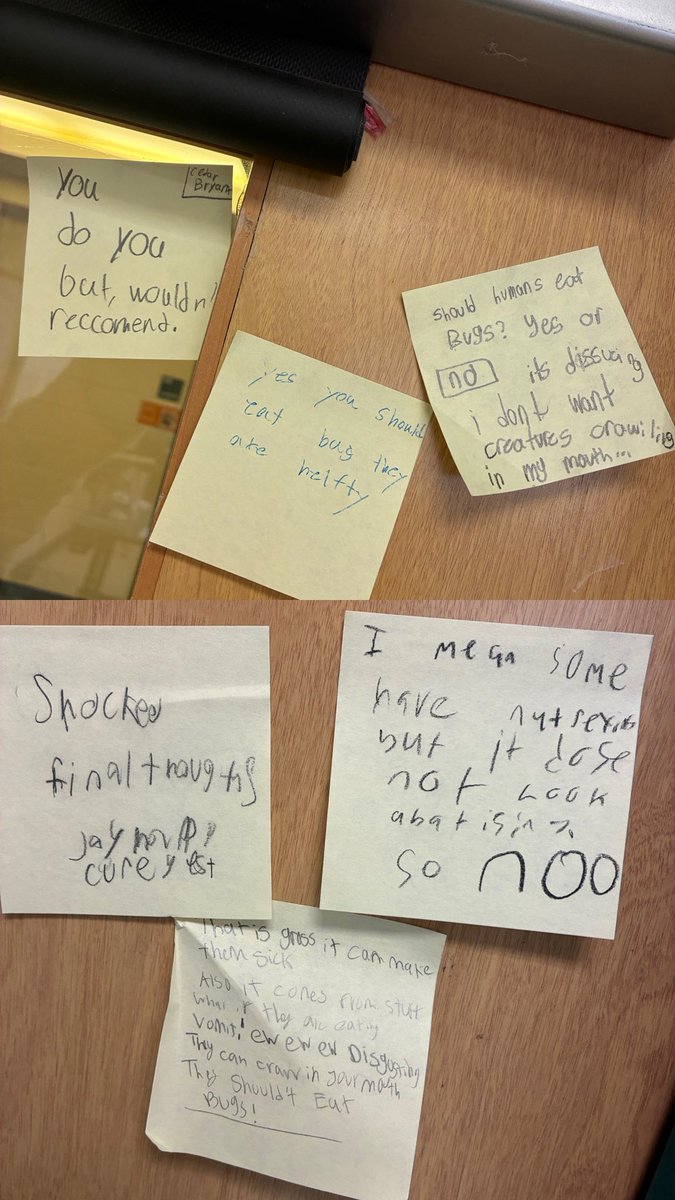 Ms. Dancisin tweet media