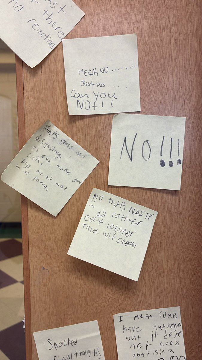 Ms. Dancisin tweet media