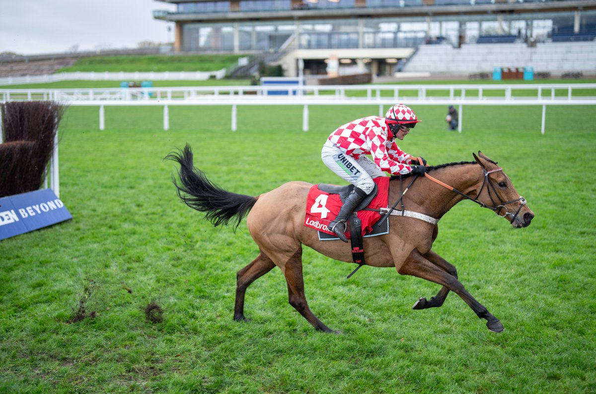 My Racing Tips tweet media