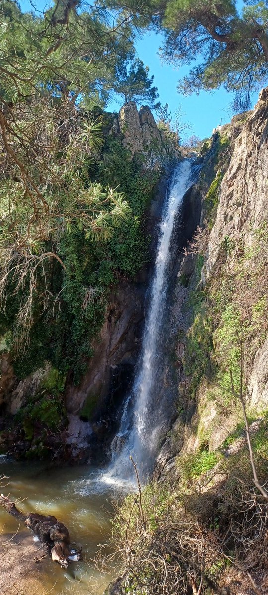 Panayiotis G Dimitrakopoulos tweet media