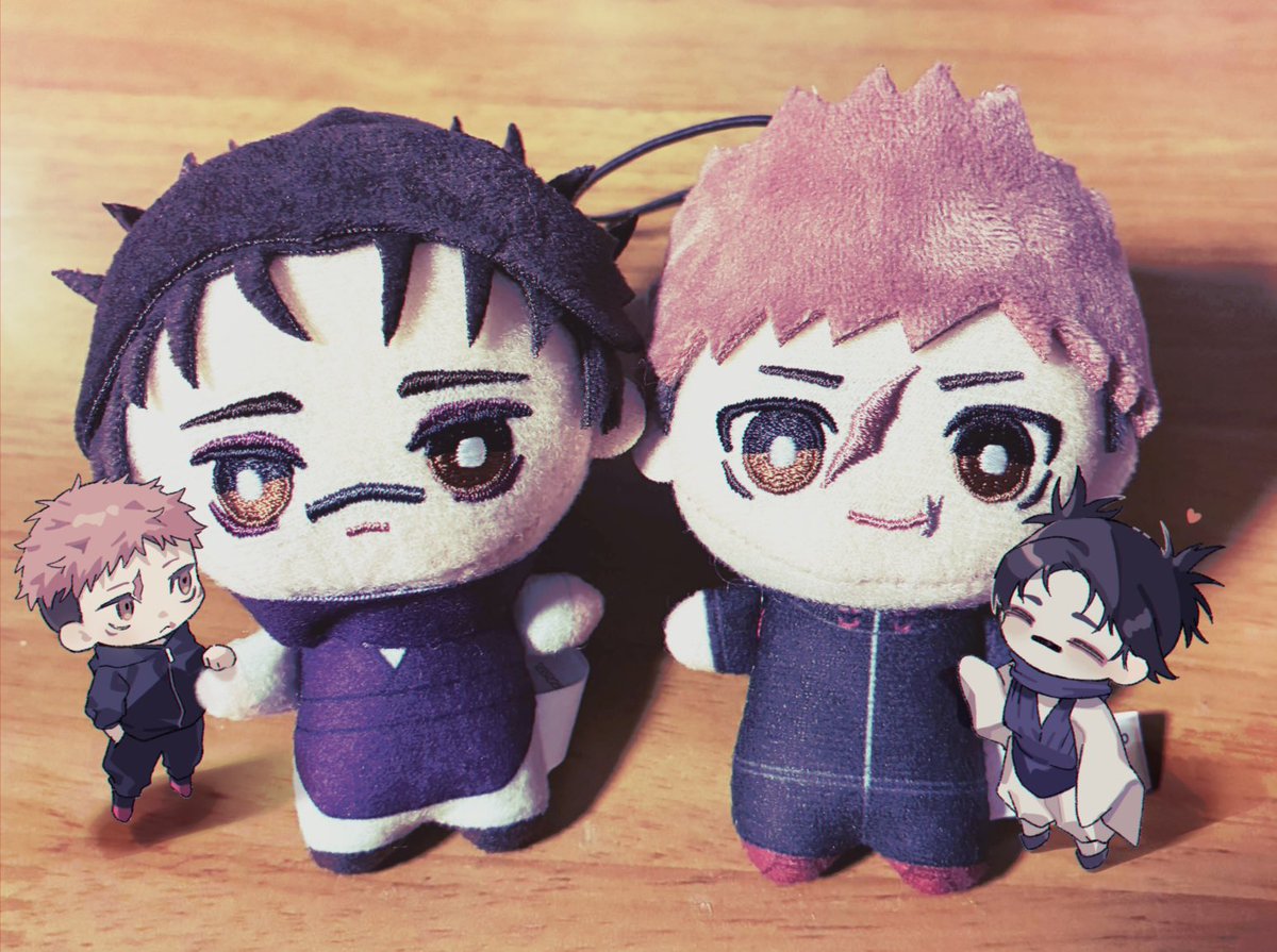 今日もお迎えしてきたよ〜