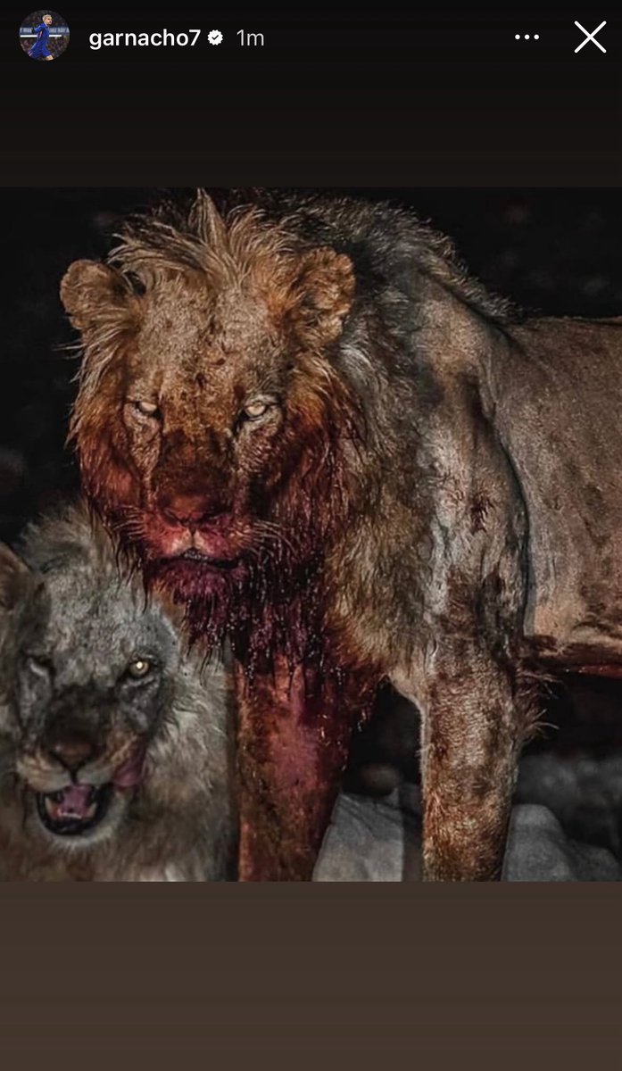 CFC Pics tweet media