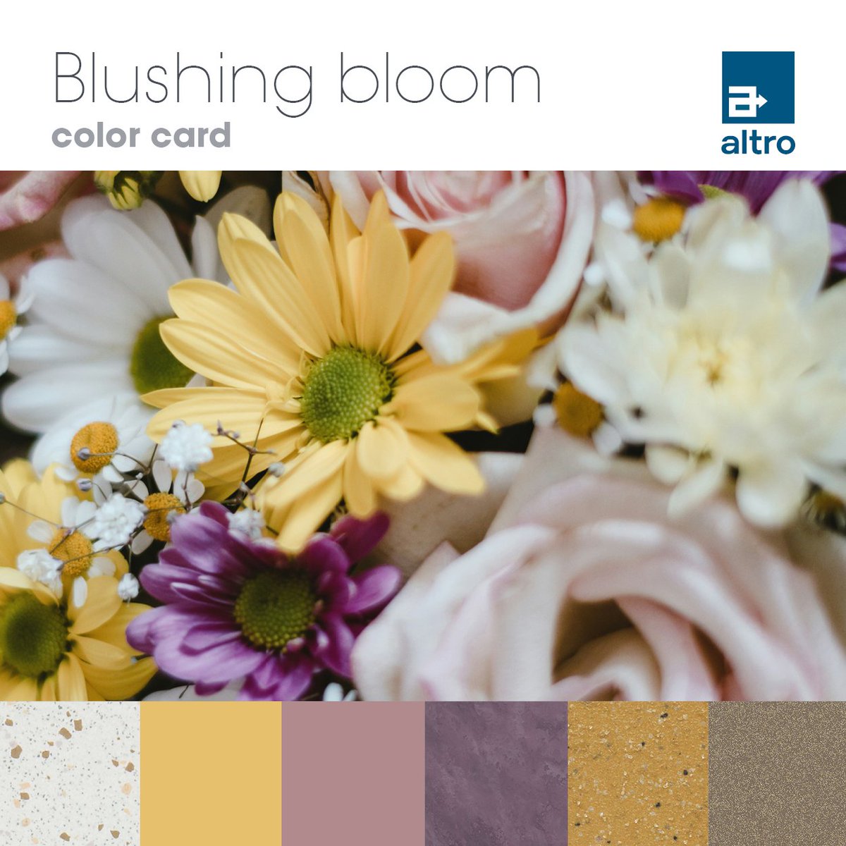 Altro Americas tweet media