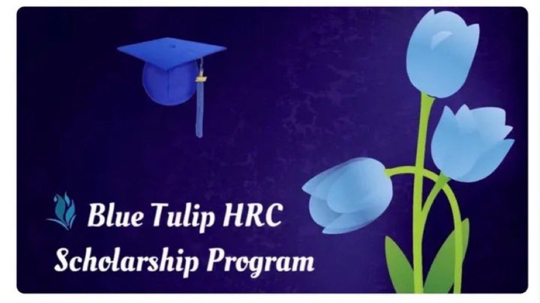 Blue Tulip Human Rights Center tweet media
