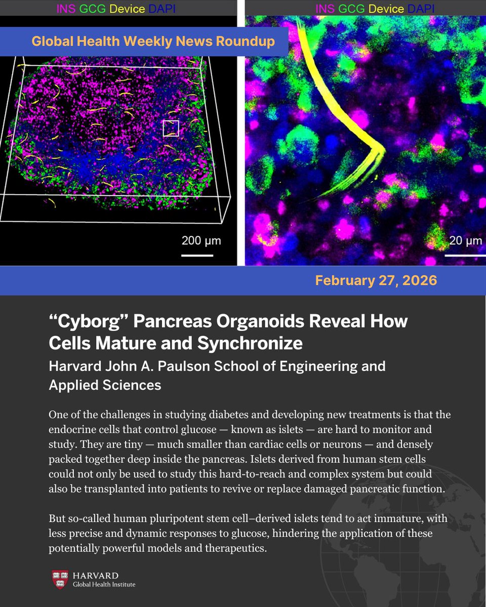 HarvardGlobalHealthInstitute tweet media